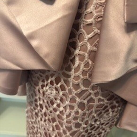 Blush Pink Satin & Lace Formal Gown or Mother-Of-The-Bride Dress. - Picture 3 of 8